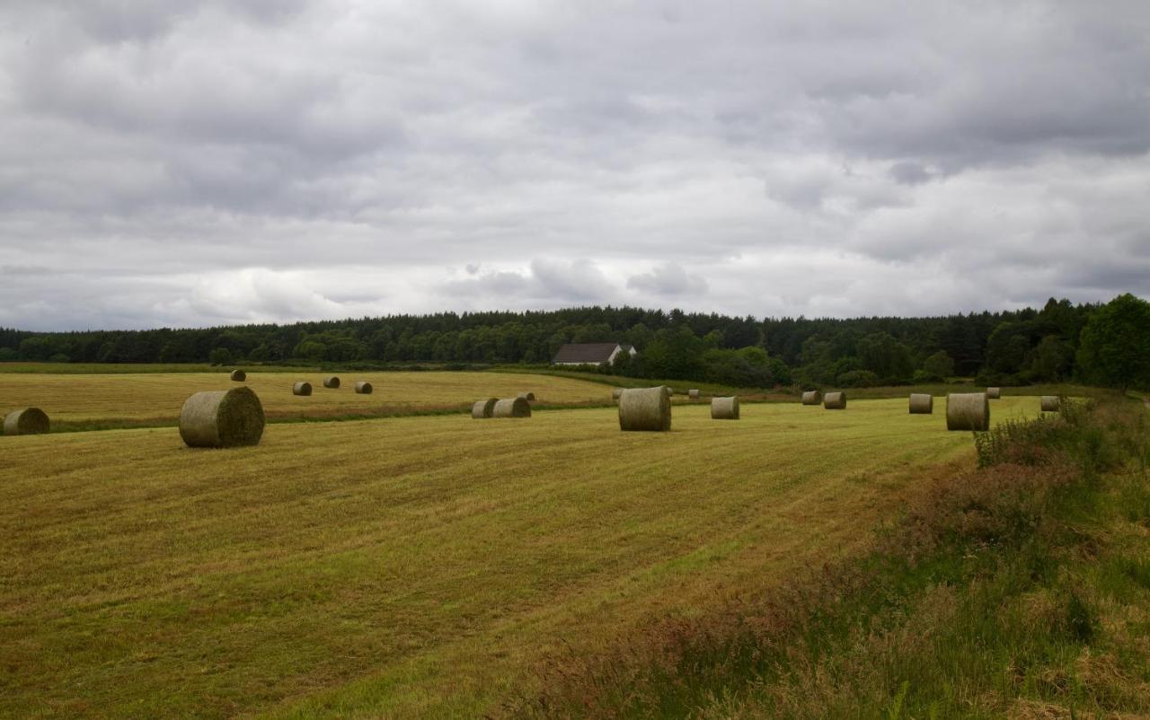 Clashmore Wood ดอร์นอค ภายนอก รูปภาพ