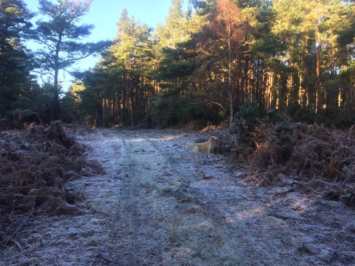 Clashmore Wood ดอร์นอค ภายนอก รูปภาพ